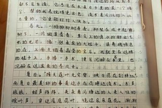 去看生活800字作文 - 看生活的作文