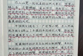 装点生活作文 装点了我的生活 作文