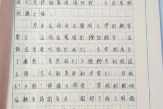 我的网课生活作文350字，我的网课生活作文350字四年级