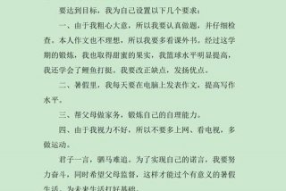 生活计划怎么写300字、生活计划书