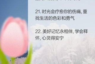 对生活失去信心怎么安慰（对生活失去信心怎么自我救赎）