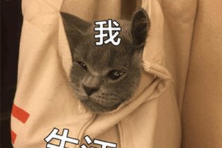 生活我表情包图片、生活我表情包图片大全