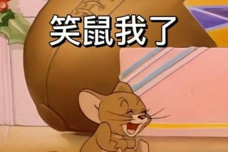 生活我表情包猫和老鼠，表情包生活 我