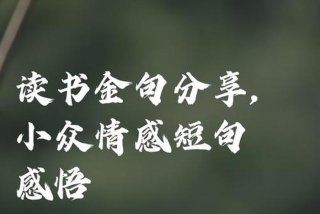 生活与读书的感悟（生活与读书的感悟句子）