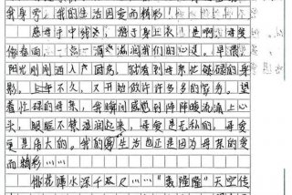 生活因而精彩作文，生活因而精彩作文600字