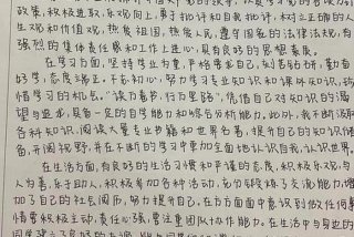 大学生活的个人总结 300-500，大学生活总结300字左右