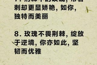 生活的道路上总是荆棘与玫瑰并存（虽然生活的道路上荆棘遍布）