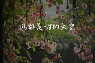 生活是美的空气是甜的风是暖的（生活是甜的吗）