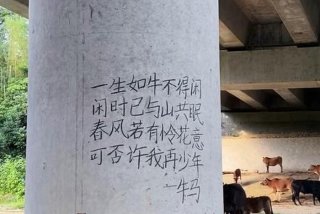 生活枯燥无味牛马指点人类（生活枯燥无味牛马指点人类下一句）