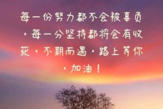 正能量生活的句子简短；正能量生活篇