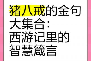 八戒生活语录（八戒生活语录大全）