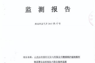 生活垃圾焚烧发电厂自动监测数据公开平台官网（生活垃圾焚烧发电厂设计标准）