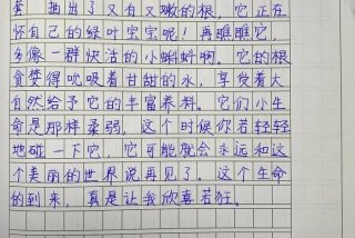 观察生活日记1000字 - 观察生活日记怎么写