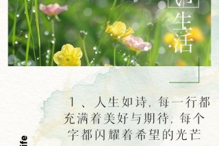 生活是美好的经典句子，生活是美好的经典说说