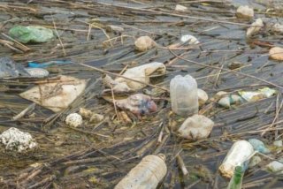 楚雄生活污水处理、楚雄污染