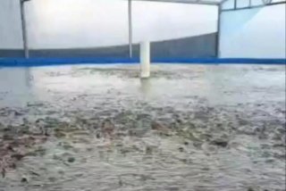 泥鳅生活水温，泥鳅饲养水温