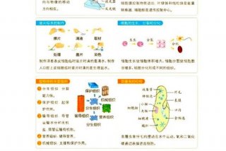 生物与生活的关系举例子 生物与生活的关系举例子有哪些