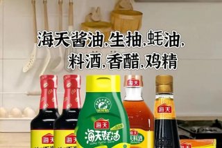 生活调味品套装（生活调味品啥意思）