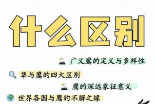 鹰的两种生活（鹰的两种生活方式）