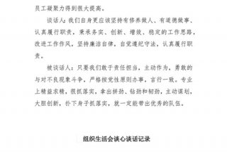 组织生活会谈话记录范文 - 组织生活会谈话记录范文怎么写