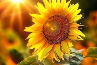 正能量图片高清图片（正能量图片高清图片头像）