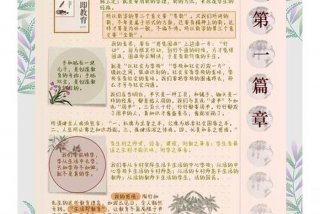 陶行知生活教育主要观点 - 陶行知生活教育内容