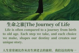 生命与生活英语 生命与生活英语怎么读