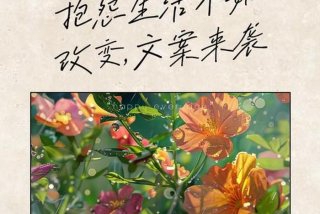 改变生活状况；改变生活状况的文案