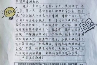 观察生活人或事的日记 - 观察生活的曰记