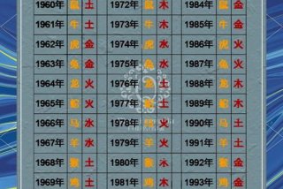 金生火吗 金生火是什么样的人