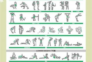 健身圣体、健身圣体最简单解释