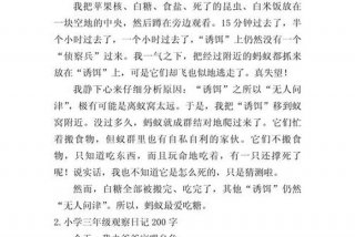 观察生活日记200个字左右（观察日记生活篇）