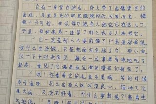 生活中有哪些现象或问题引起了你的关注三年级作文，生活中哪些现象或问题引起你的关注作文300字