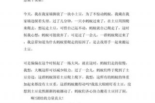 观察生活日记400字 - 观察生活写日记