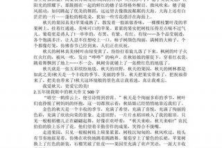 我眼中的生活自然艺术美 我眼中的生活之美作文500字