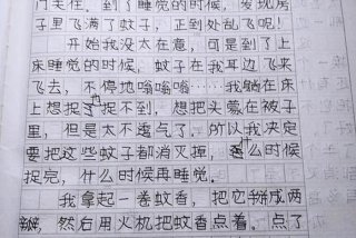 生活小妙招作文300字以上、生活小妙招作文350字