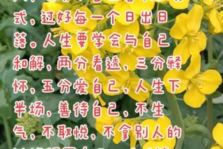 生活态度积极向上的句子 生活态度积极向上的说说