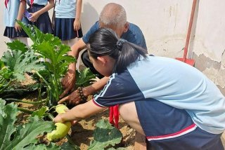 生活实践活动图片；生活实践活动图片高清