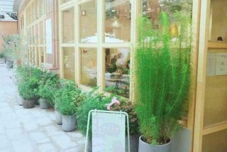 加减生活科技有限公司官网（加减木生活馆）