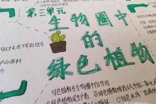 我眼中的生物世界手抄报初一、我眼中的生物世界手抄报资料