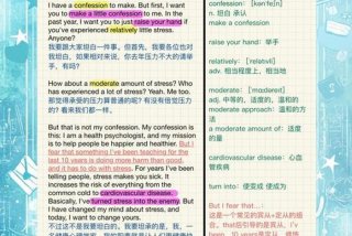 生活压力英语怎么说（生活压力翻译）