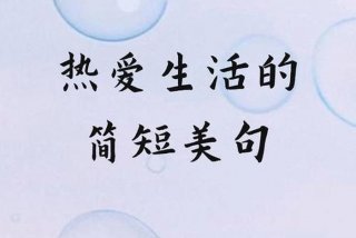 美好生活的唯美句子；有关美好生活的唯美句子