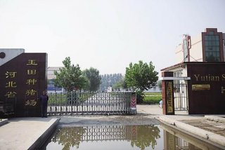 玉田生活网玉田生活资讯门户网，玉田生活资讯门户网站