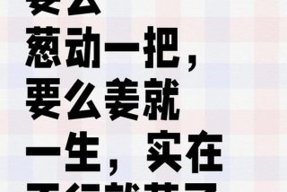 生活调味品经典句子 - 生活调味品经典句子图片