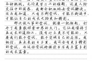 生活因什么而精彩作文（生活因什么而精彩作文500字六年级下册）