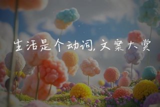 这是我的生活也是你的生活 这是我的生活也是你的生活什么意思