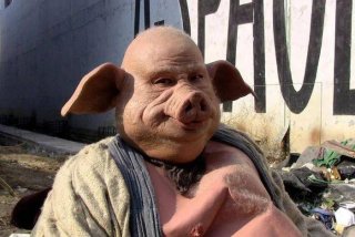 八戒生活小常识大全（八戒八戒的）