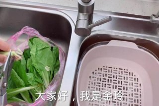 金玲生活日记全集完整版；金铃生活日记