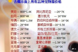 爱猫生活吧团购，爱猫生活小组暗号是什么