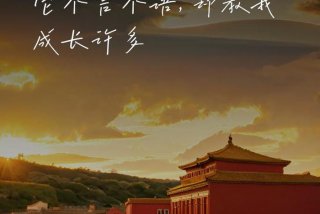 生活教会了我成长却没教我（生活教会了我文案）